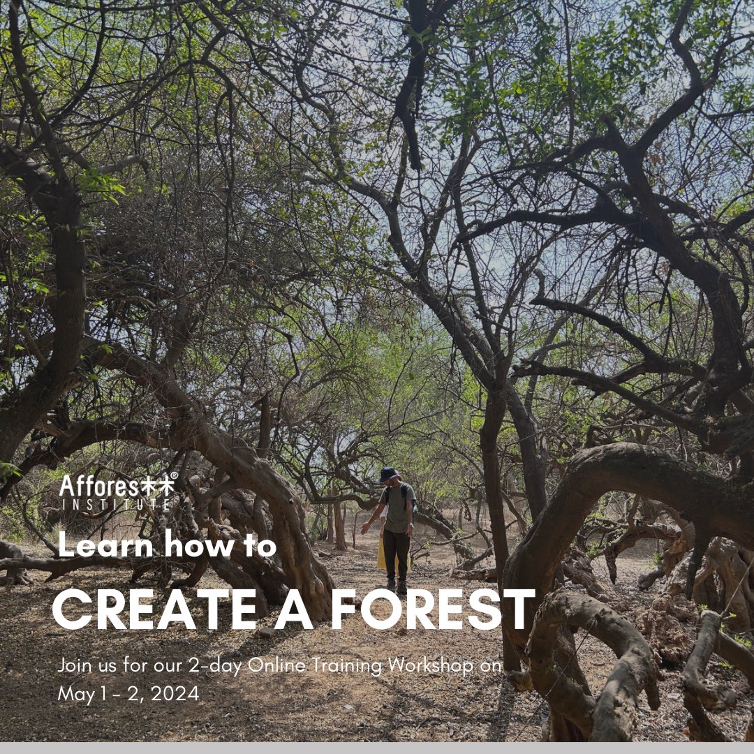 Join us for our 2-day Online Training workshop on 1st- 2nd May,2024 (6 PM to 10 PM, IST) With a focus on adapting the Miyawaki methodology of afforestation. Fee:- INR 35,000/USD 500 Do write to us with the statement of intent on training@afforestt.com. #onlinetraining #forests