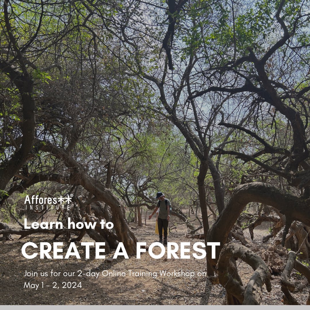 Join us for our 2-day Online Training workshop on 1st- 2nd May,2024 (6 PM to 10 PM, IST)
With a focus on adapting the Miyawaki methodology of afforestation.

Fee:- INR 35,000/USD 500

Do write to us with the statement of intent on training@afforestt.com.

#onlinetraining #forests