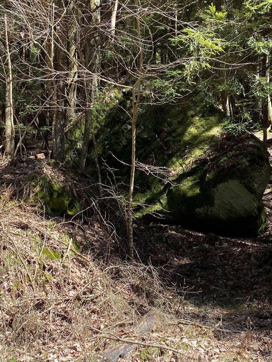 Glacial boulder dropped thousands of years ago. Bonus sunray, too. These things are massive and scattered all over the mountain.