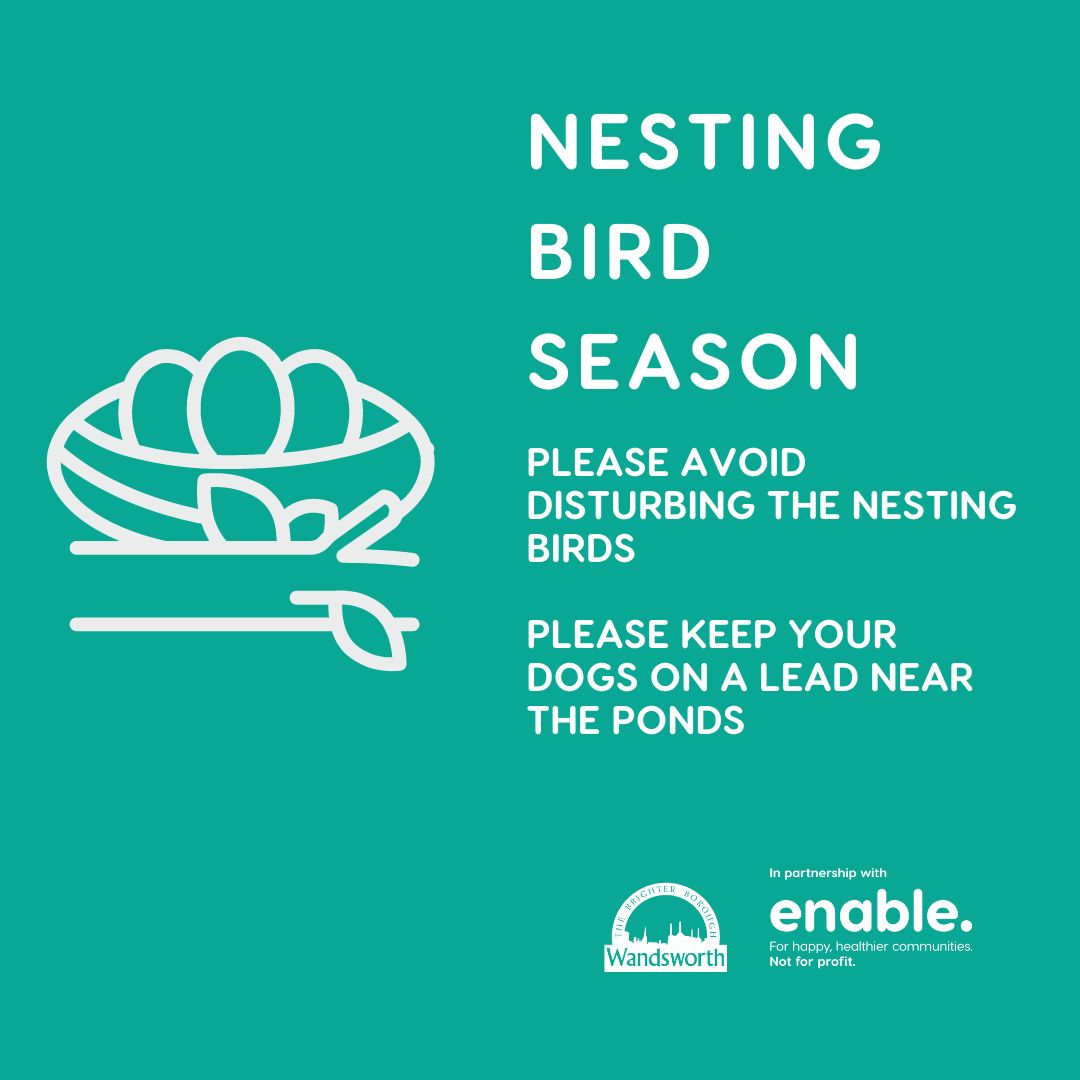 Spring has sprung, and many birds are now in nesting season (February - August)! Please take extra caution to avoid disturbing birds during the nesting season, and whilst they have young Please be aware that birds also nest in wooded areas and areas with vegetative cover