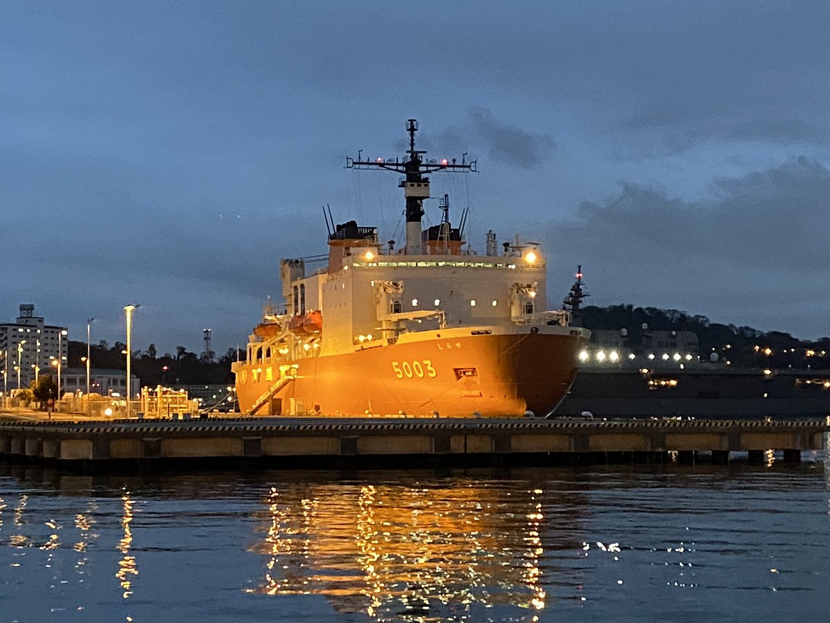 おかえりなさい
#しらせ