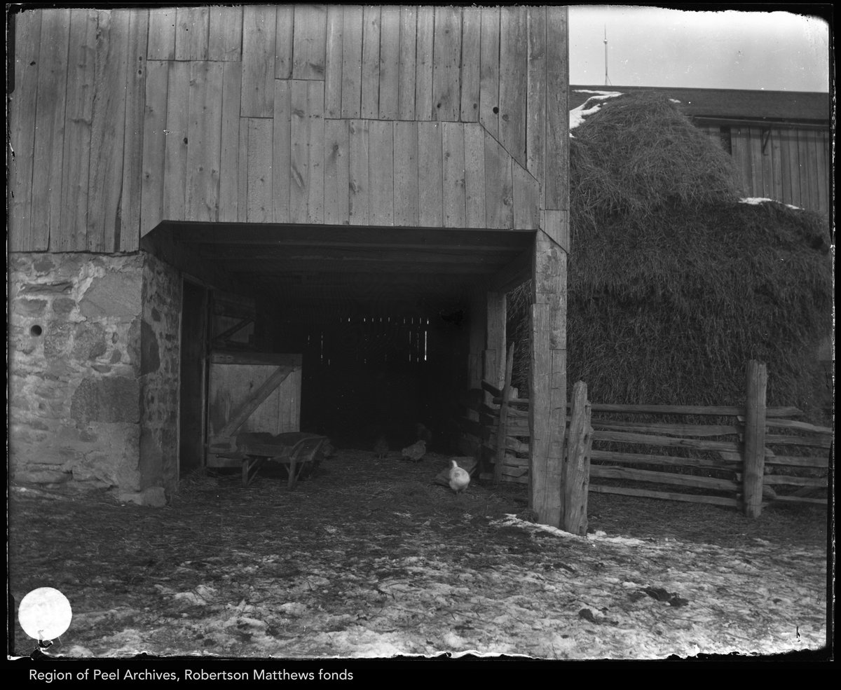 #ArchivesAtoZ: H is for haystacks and hens. Bolton-area Robertson Matthews photographing daily life, at a time when the camera was costly and technically prohibitive. Treasured for their look into the ordinary, these glass negatives are treasures in our collection.