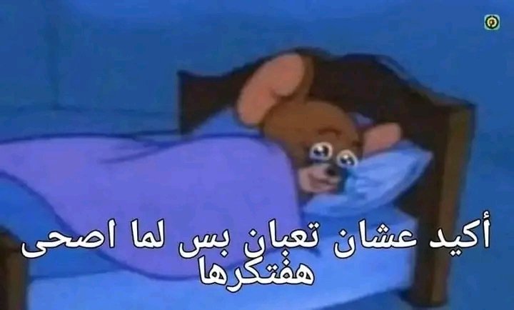 لما اقعد انحر ف نفسى طول اليوم مذاكرة ثغرة معينه واجى اسأل نفسى ف حاجه