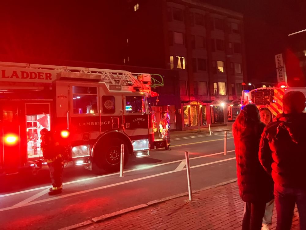 The fire alarm in my apartment building spontaneously combusted last night and filled the whole building with smoke. As I stood in my bathrobe watching the fire brigade, I resolved to be kinder to myself about my own mistakes.