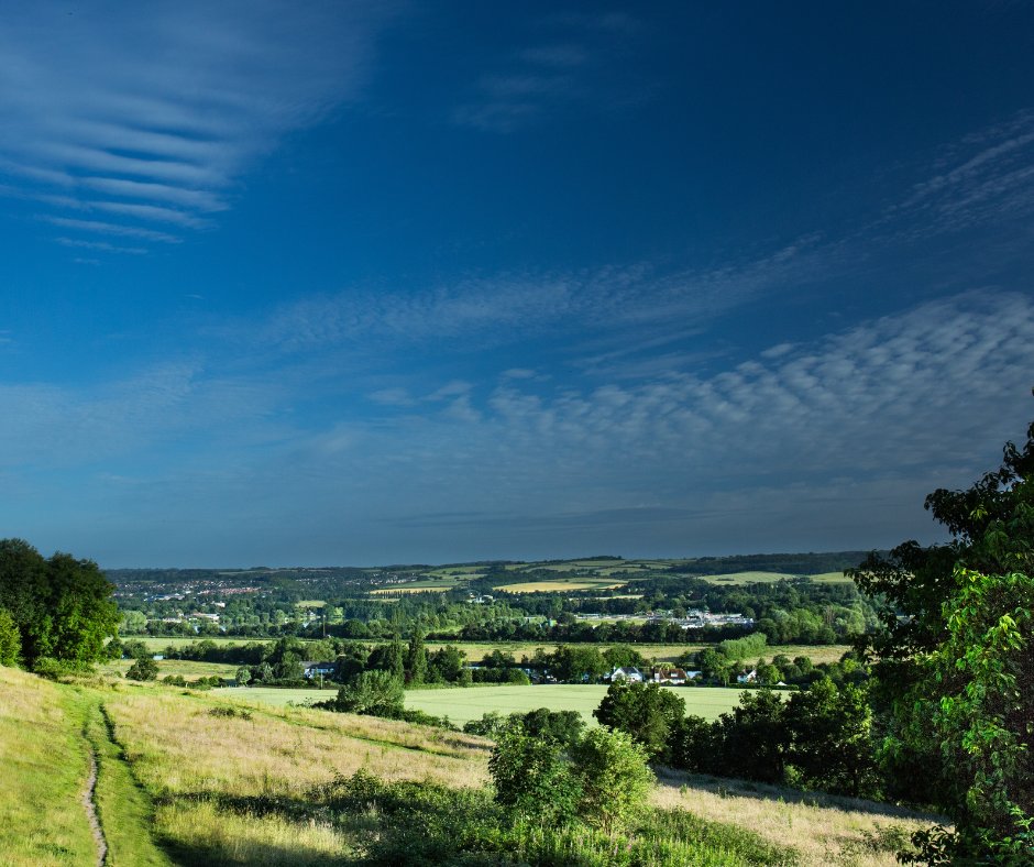If you're a fan of Escape to the Country on @BBCOne tune in today at 3pm and see if you can spot our site, Brush hill!