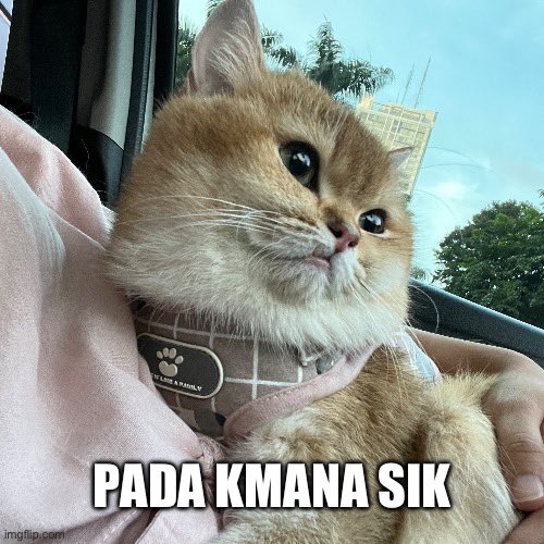leonyns's tweet photo. @nastarcheesecat Selamat ulang tahun Sbiji yang udah ngga se-remote dan ngga muat masuk kendi! Kasian mau ngerayain ultah malah sepi ya, Ji 🥲 https://t.co/t0GqGCLDyM