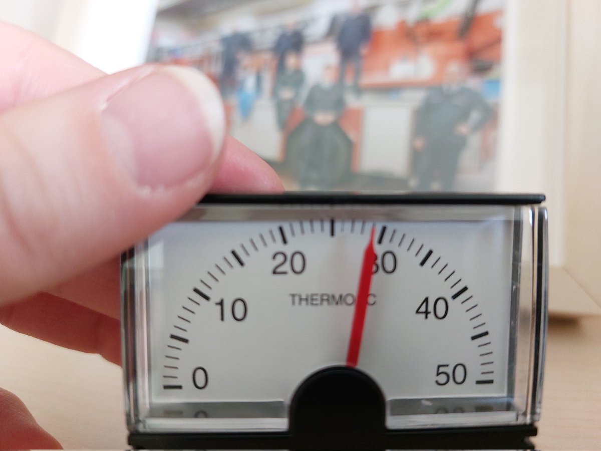 Kuschelig im Büro...