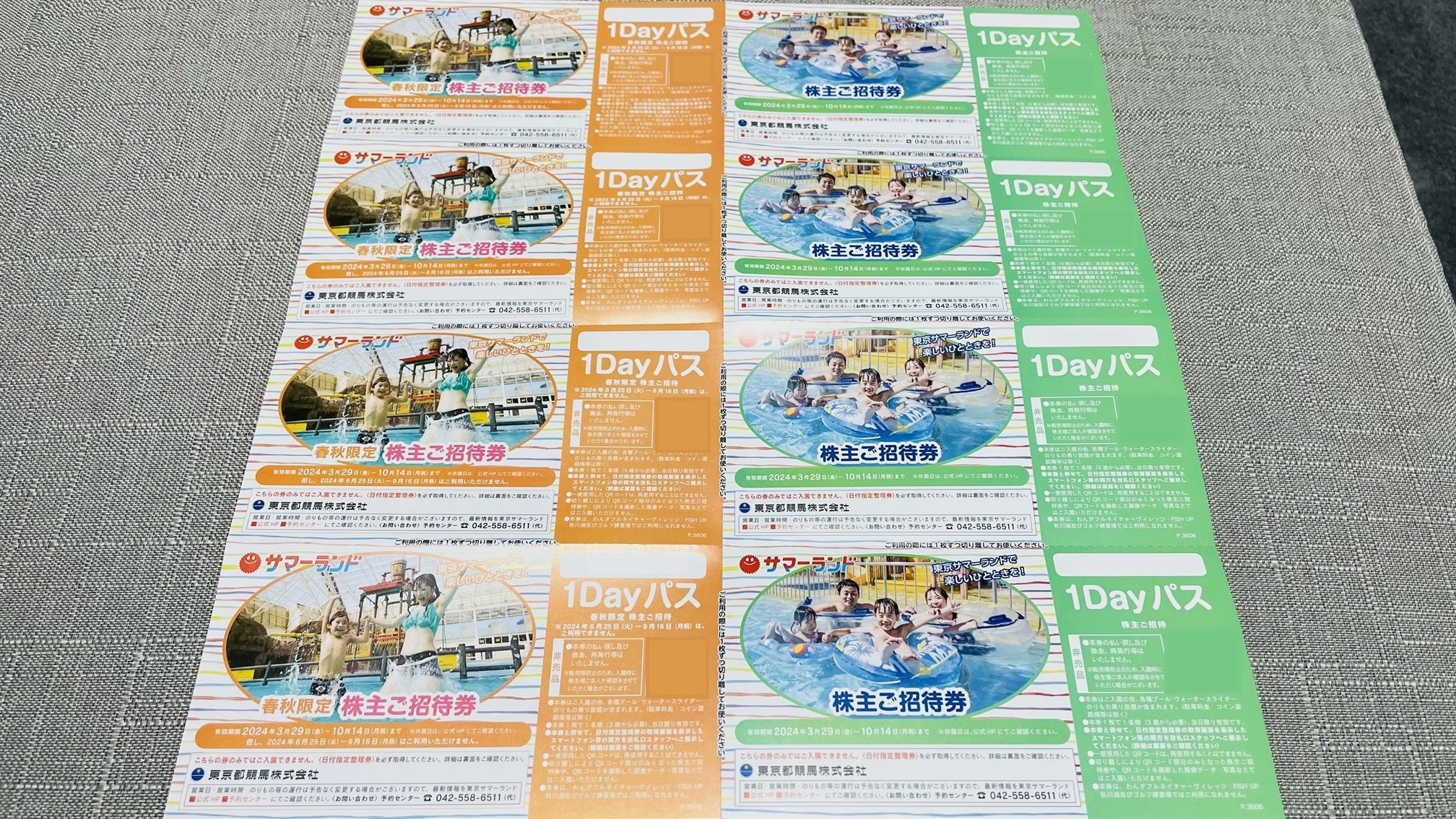 東京サマーランド1dayパス（株主ご招待券）4枚 東京サマーランド 1Dayパス 株主ご招待券 4枚 株主優待券 施設利用券