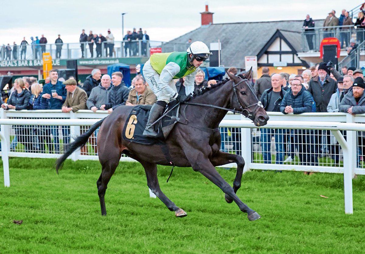 The 25 horses entered for the Gr.2 Weatherbys nhstallions.co.uk bumper @AintreeRaces on Saturday, include Champion Bumper 6th The Yellow Clay @gelliott_racing, and his owners Bective Stud could also be represented by Castle Ivers @O_J_murphy91. Willie Mullins has just My…