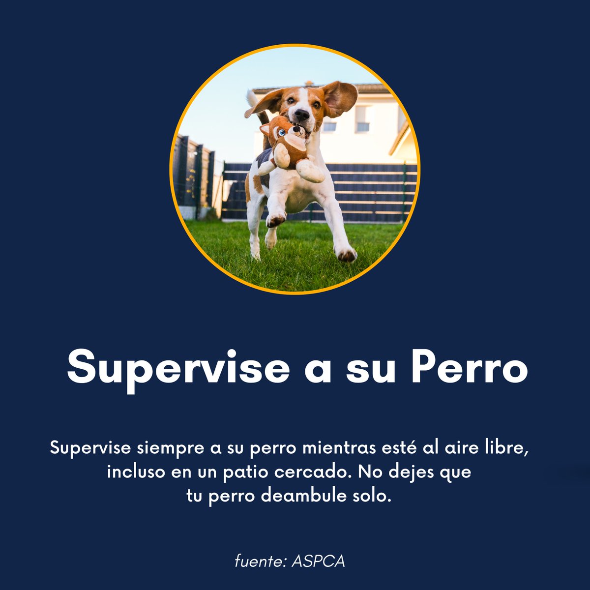 TusAbogadosDeGA's tweet image. ¡Del 7 al 13 de abril es la Semana de Prevención de Mordeduras de Perro! ¡Amamos a nuestras mascotas y queremos lo mejor para ellas! Para ayudar, hemos recopilado algunos consejos de la ASPCA. 

#FryGoehring #TusAbogadosDeGeorgia #DogBitePrevention