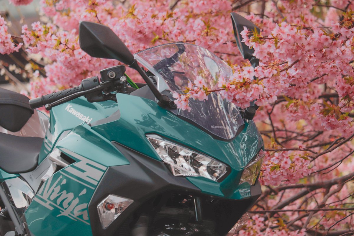 #愛車と桜のコラボ写真を載せて5RTを目指せ
愛車と桜は最高に綺麗🌸