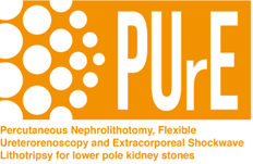 Great to see people sharing news that work from the @NIHRresearch funded PUrE study won 1st prize among non-oncology abstracts at the EAU Congress. You can find the winning abstract here. Congratulations to the whole team! bit.ly/4aMJTO0