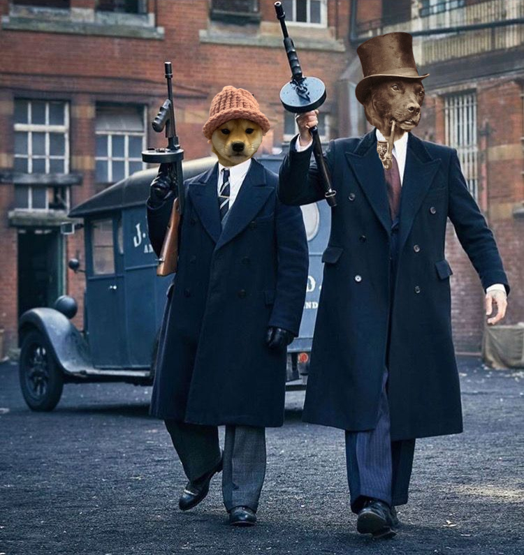 OLD WIF 🐶🎩 tweet media