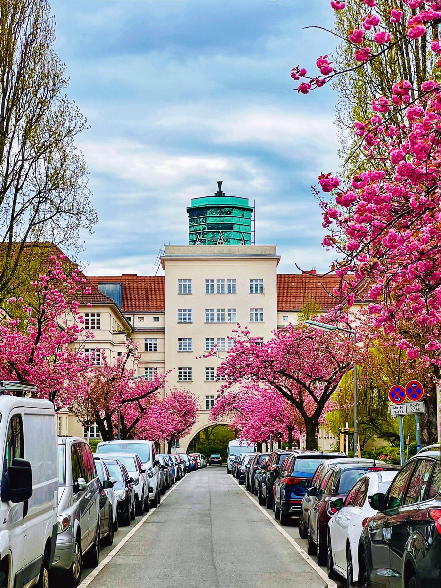 It‘s a brand new week of #berlinblossom 🌸🥰☀️ 

#Berlin #Frühling #April