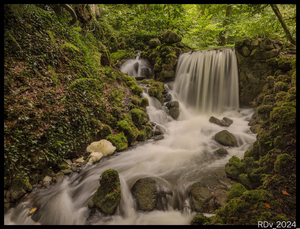 Waterfall at Birr Castle #WaterfallHunting #waterfall #MondayMotivation #nature #MondayVibes #NatureBeauty #naturelovers #Birr #Ireland @ThePhotoHour