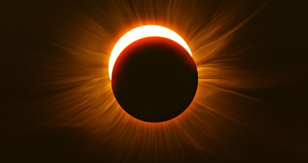 Study and Go Abroad tweet media