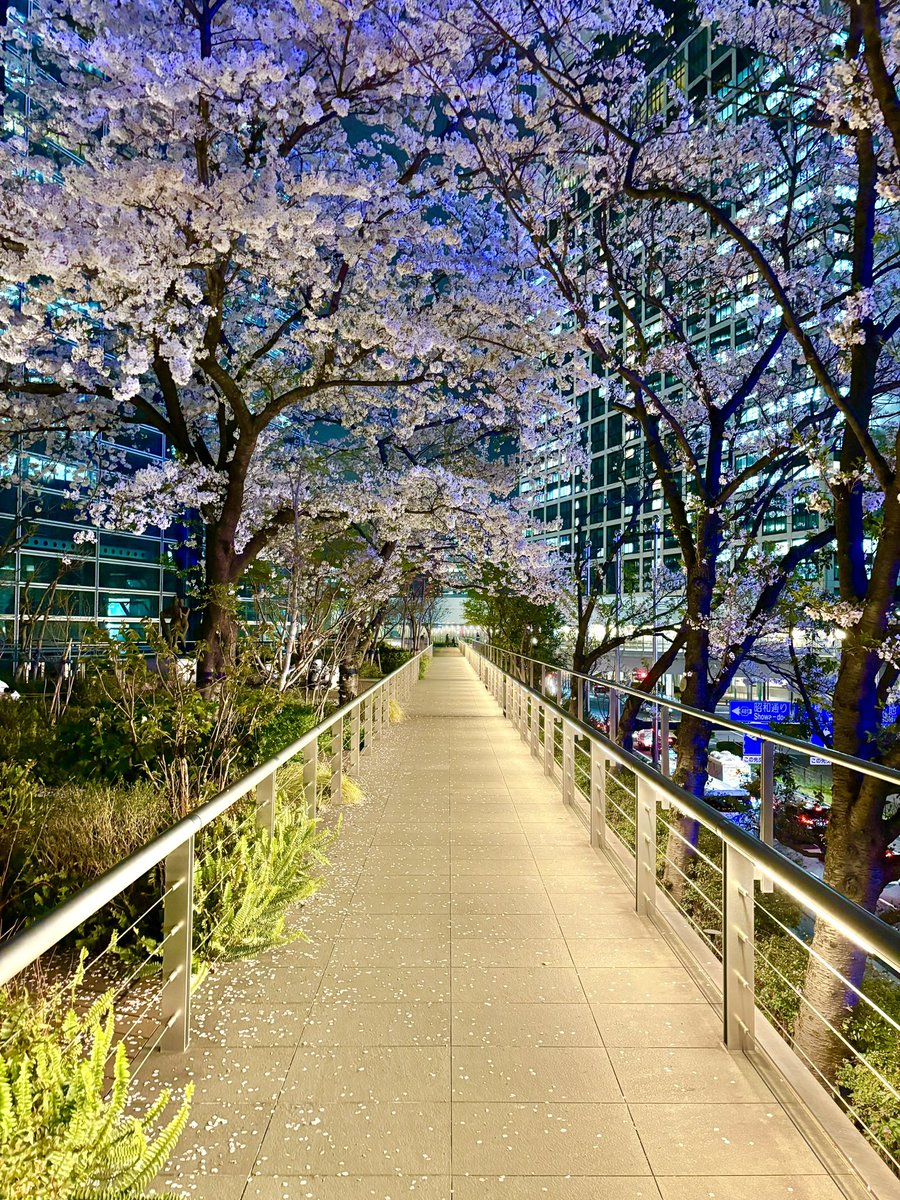 今日4年ぶりに出社してます。