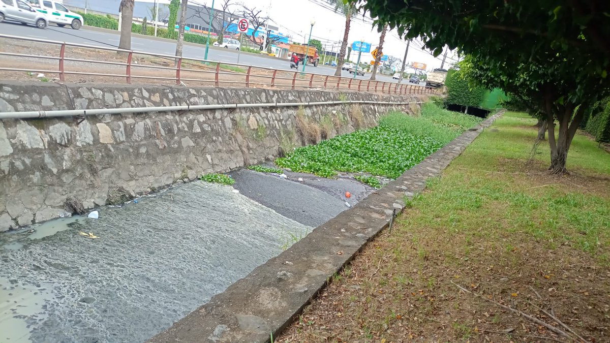 avenida9de2023's tweet photo. #URGENTE urb. marina dor park,la delicia y el colegio.A diario sufrimos por el fétido olor que emana la zanja,igual q laguna de oxidación.con el sol eso hierbe y hasta burbujas salen @AlcaldiadeDaule
@PrefGuayas
@JoseDelgado_TV
@paultutiven
#daule #guayas #aurora @WilsonCanizares https://t.co/qnqfivwKbH