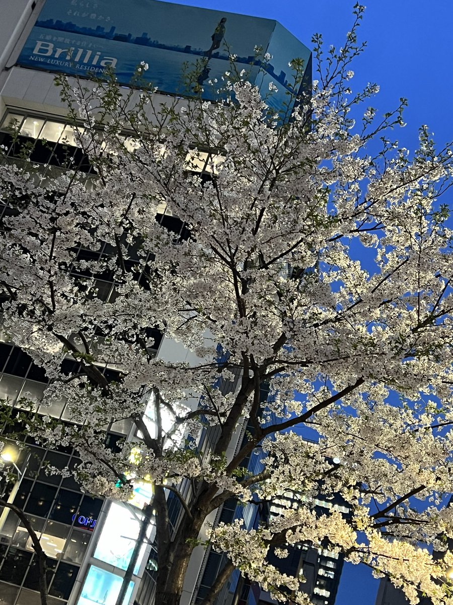 AlohaHyang's tweet photo. #みんなでエア花見
#遅くなってごめんなさい
#HeySayJUMP https://t.co/Rn8Fr4UUXr