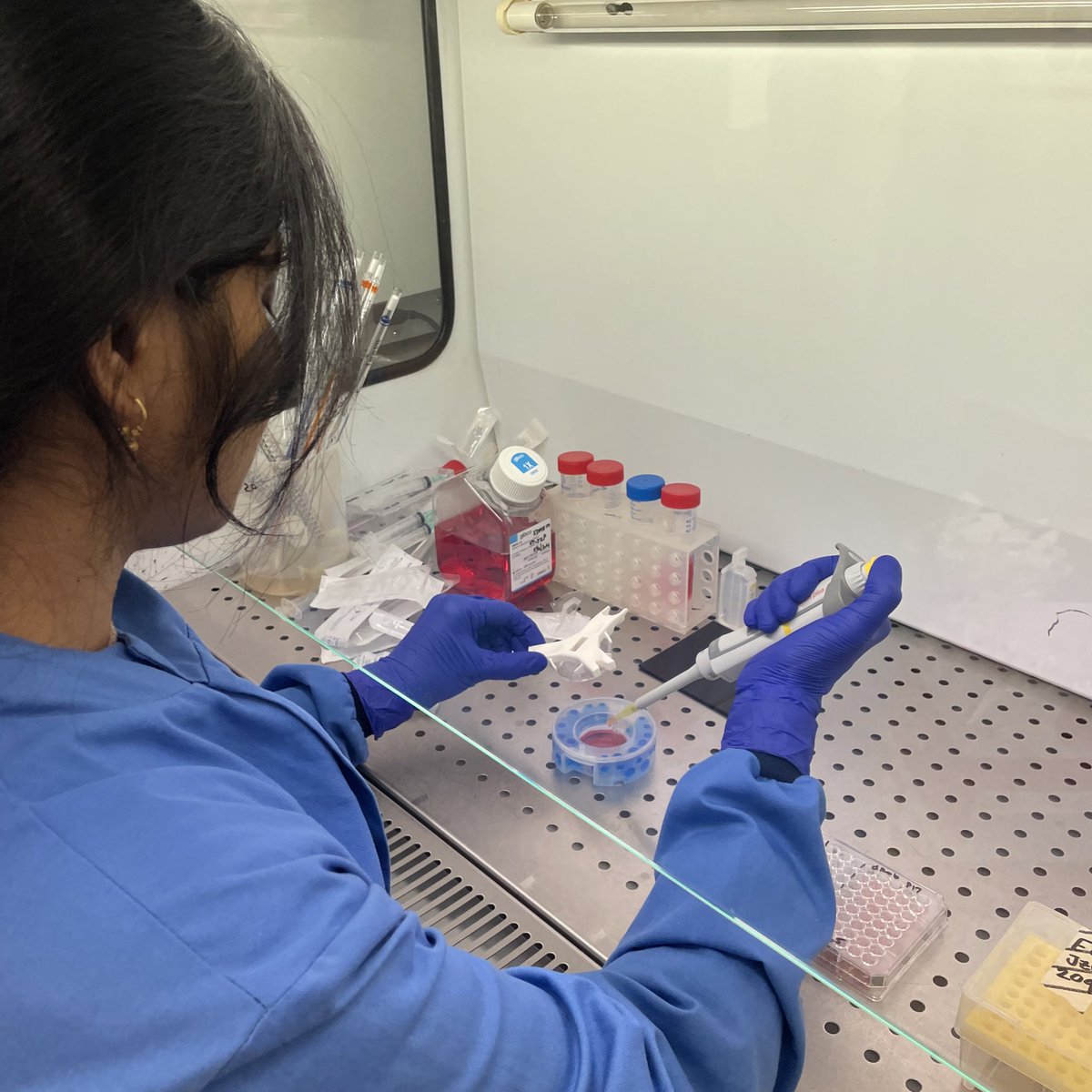 Dr Jennifer Z Paxton (@dr_jzp) on Twitter photo A small hiatus in my Easter break to have Clinostar training in the <a href="/Paxton_Lab/">Paxton Lab</a> 🤩🥳🤩🥳 A small hiatus in my Easter break to have Clinostar training in the <a href="/Paxton_Lab/">Paxton Lab</a> 🤩🥳🤩🥳