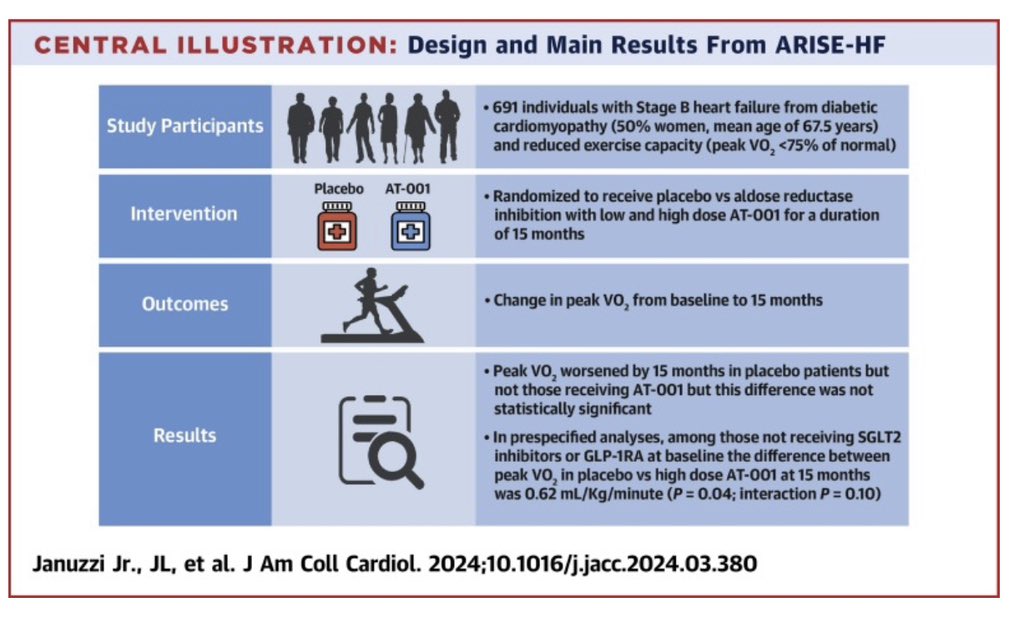 Last day of #ACC24& start fresh w/ the result of #ARISEHF by @JJheart_doc:

▶️691 px w/ #DiabeticCardiomyopathy (50% 👩), ⬇️pVO2 <75%, receiving #AT001 🆚 placebo for 15 mo

▶️ pVO2 in placebo ⬇️, but statistically not significant

🔗: jacc.org/doi/10.1016/j.…

Congratulations 👏🏻