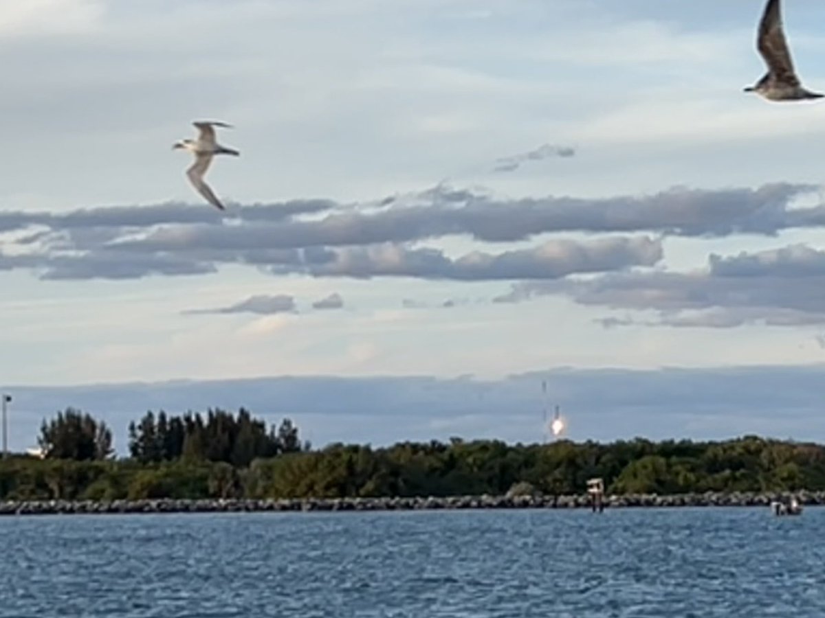 ChrisUK27's tweet image. After watching hours of livestreams and catchup videos from the awesome @NASASpaceflight @MarcusHouse @Erdayastronaut @DJSnM I finally saw my first launch, Bandwagon RTLS. Special thanks to @julia_bergeron @thenasaman for the tips for launch and booster 1069 in port. #teamspace