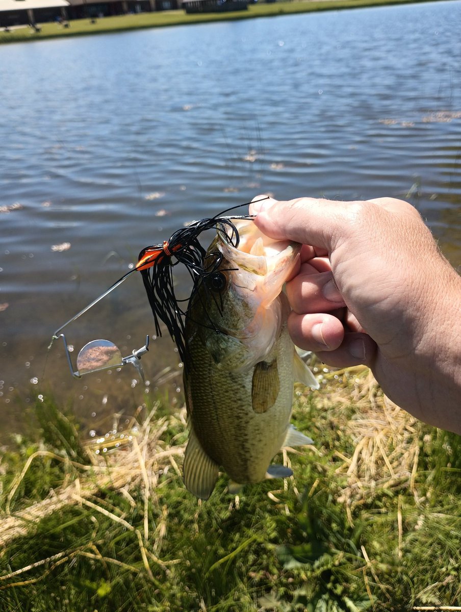 A dink topwater fish is better than no topwater fish.