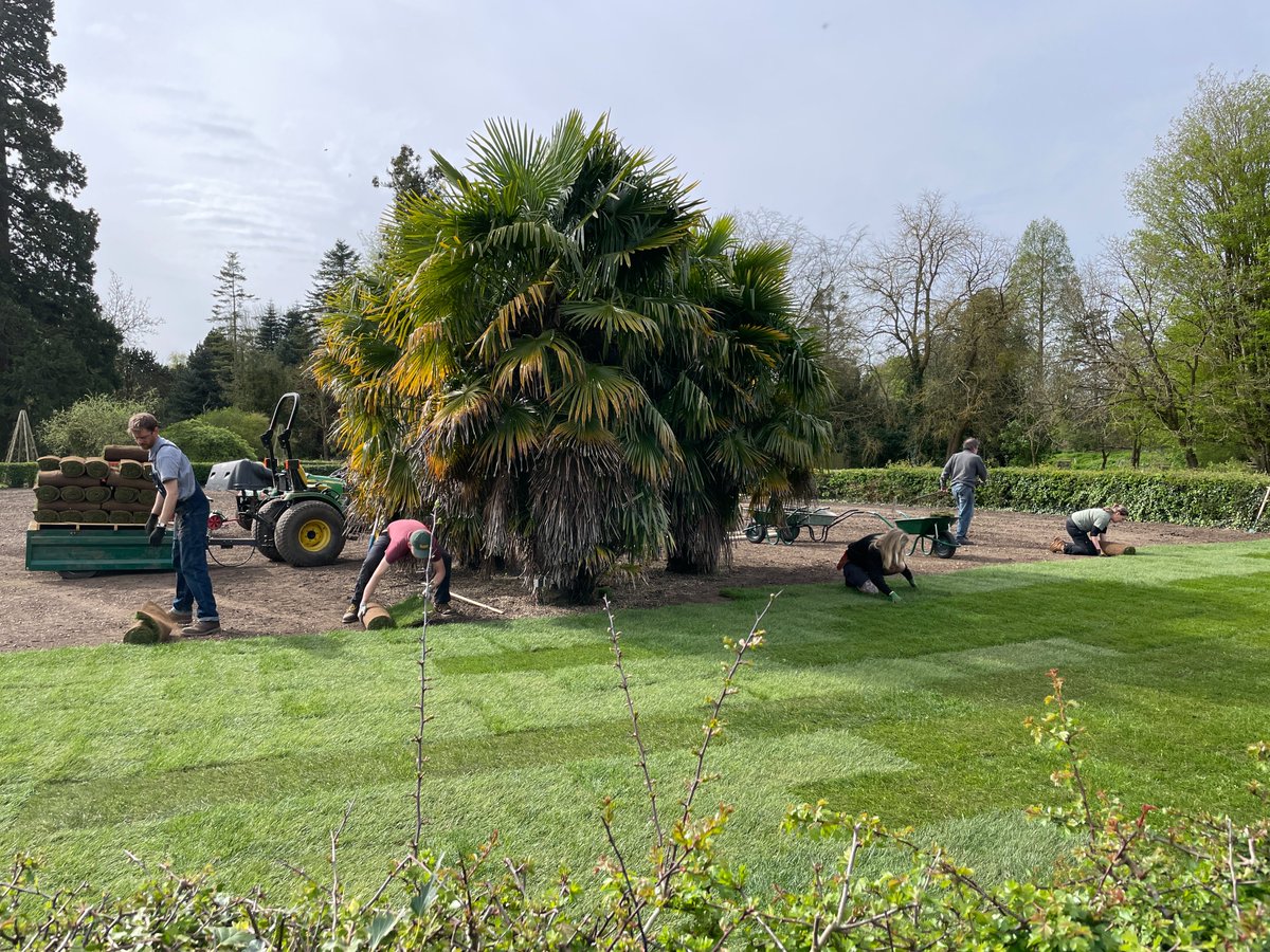 Whilst our brood of baby ducklings have been real visitor favourites this weekend, there are new beginnings all around the Garden, with fresh turf being laid in the Systematic Beds, vibrant flowers blossoming & trees coming into leaf. #Springtime #LoveCambridge #EasterHoliday