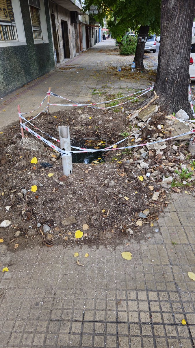 Gabriel Trueba tweet media