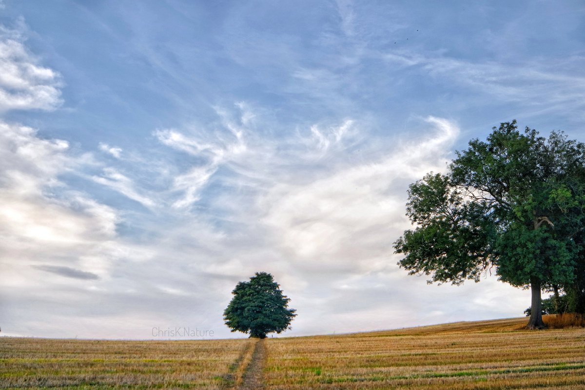 Somewhere in Moss Valley #countryside #derbyshire #sheffield #MossValley #landscape #nature #NatureBeauty