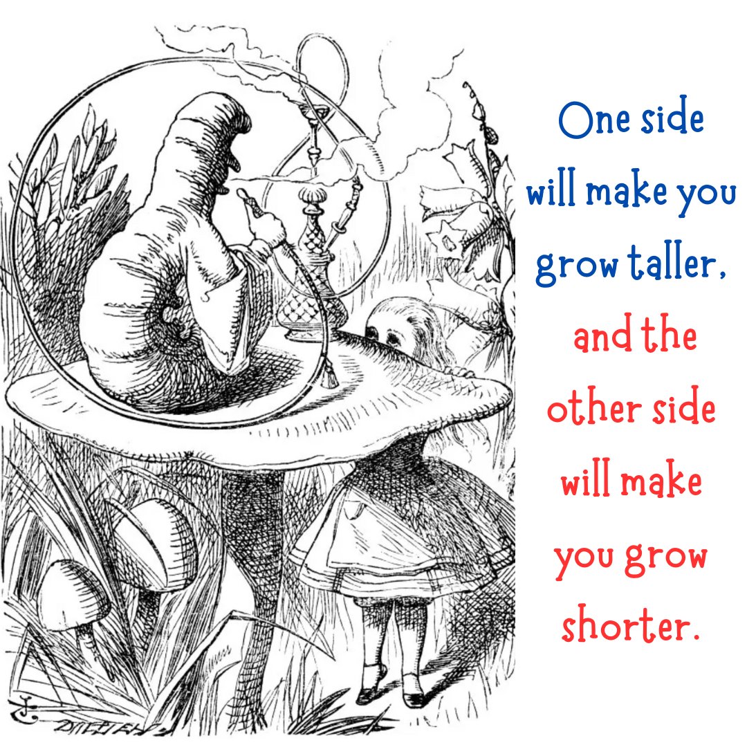 Connecticut Ballet tweet media