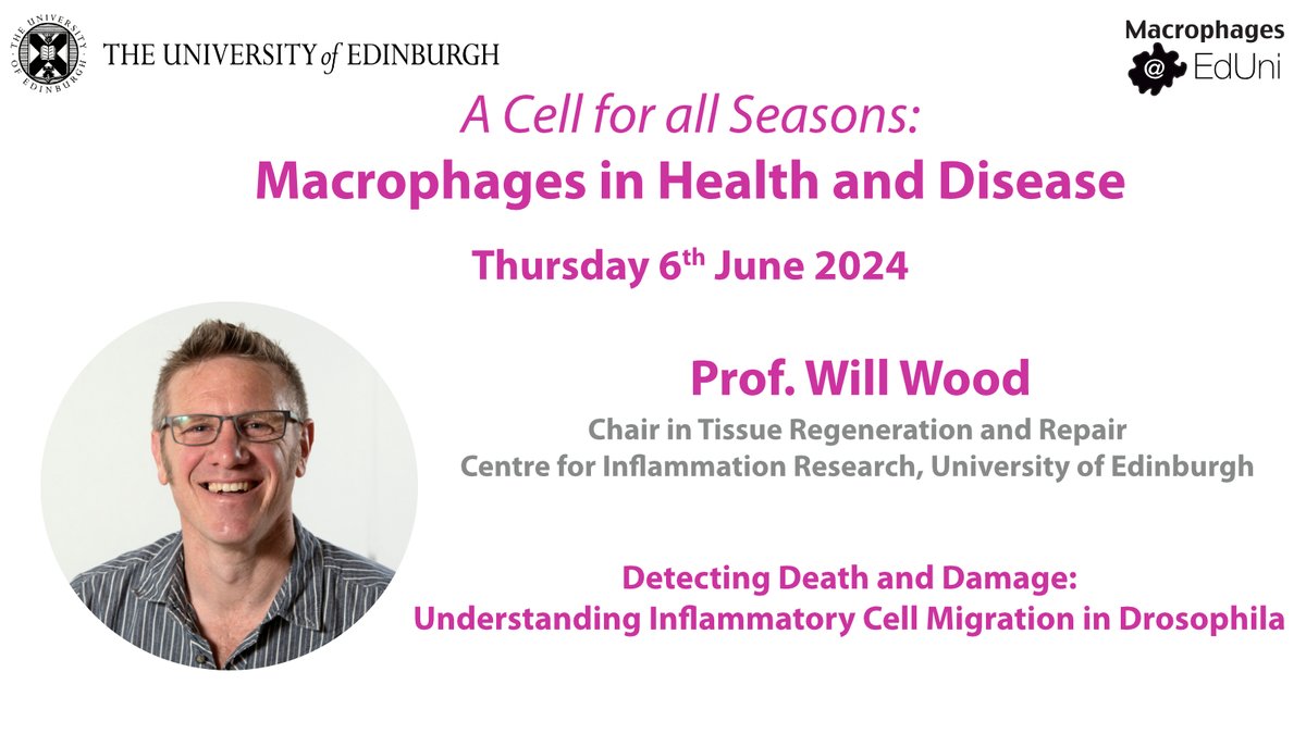 How do #macrophages sense cell damage and death? Join us @MacEdiUni in June where Will Wood from @EdinUni_CIR will tell us how his group use #Drosophila to visualise #immune cell dynamics following injury. Registration 👉 ed.ac.uk/inflammation-r…