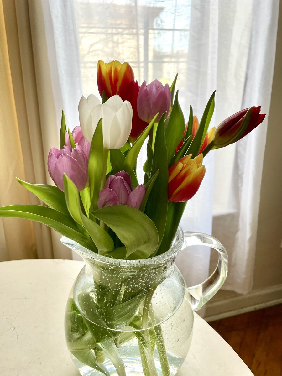 Monday is my tulip day. #florals #flowers #tulips