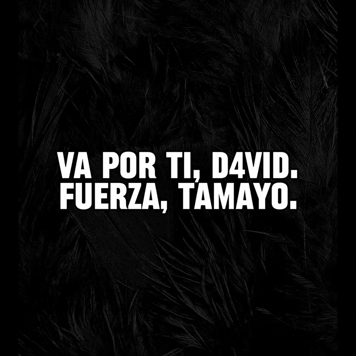 ¡FUERZA, P4RCE! Va por ti. 🖤🤍