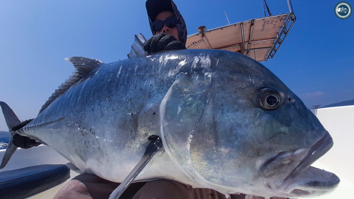 Back for round two! 🎣 Clarence and the team kicked off February with a bang, hooking into a 30+ kilo beast on day one and another that destroyed 10/0 treble hook! 
#fishingtime #fishingtrip #jigging #portblair #andamanislands #fishingadventures #fishingseason #gianttrevally