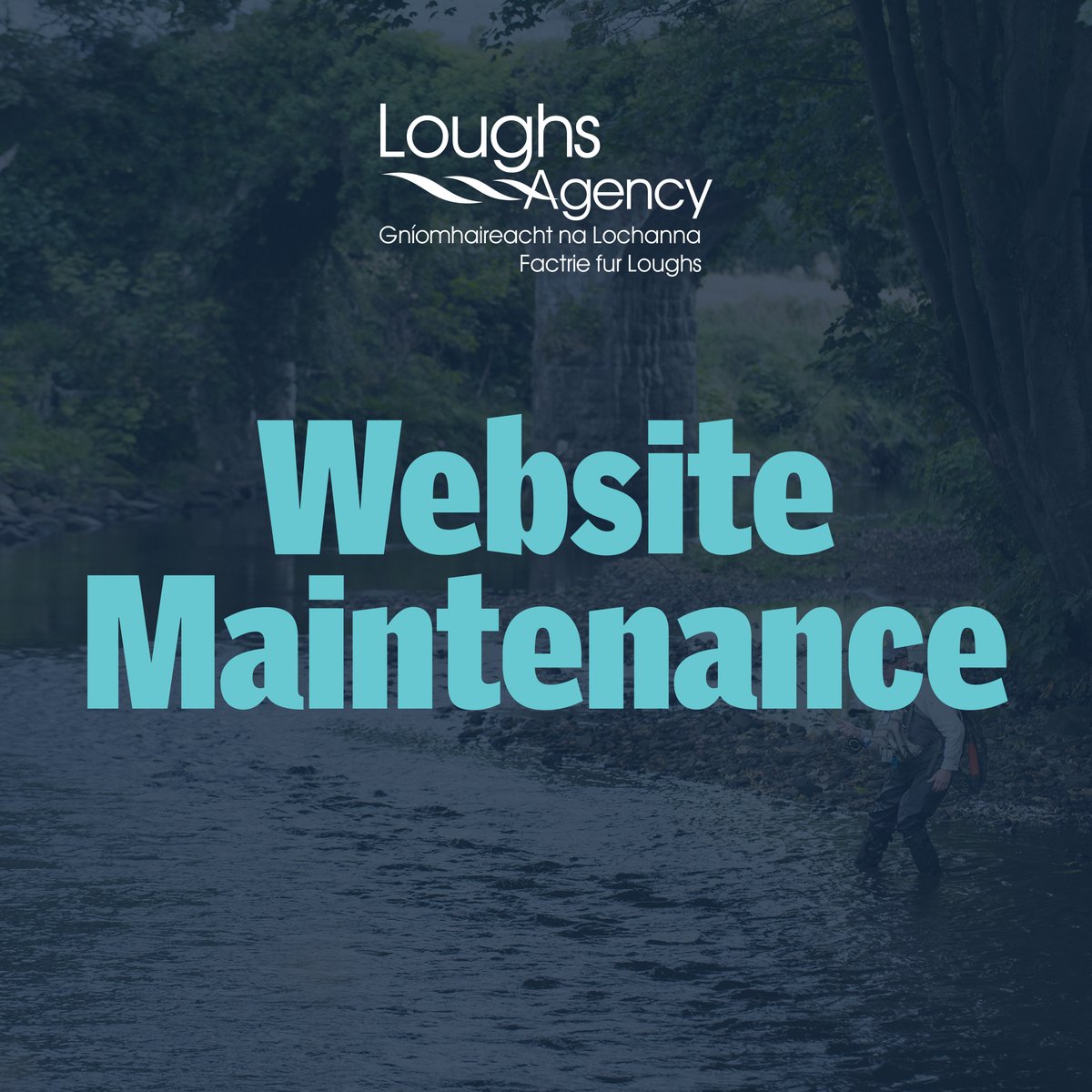 Our website is currently undergoing maintenance ⚙️ To purchase licences, please visit elicence.loughs-agency.org #LoughsAgency