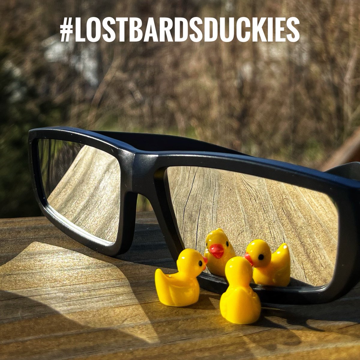 The Duckies are ready for the eclipse!

Travelogue of The Lost Bard’s Duckies. 

#traveltheworld #duckoftheday #neverstopexploring #lostbardsduckies