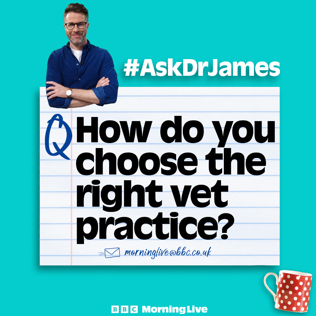 Vet @drjgreenwood is here on Wednesday to explain the best way to choose a vet practice and how to get the right prices. How do you choose the right vet practice? Send us your comments or any questions for James about it.