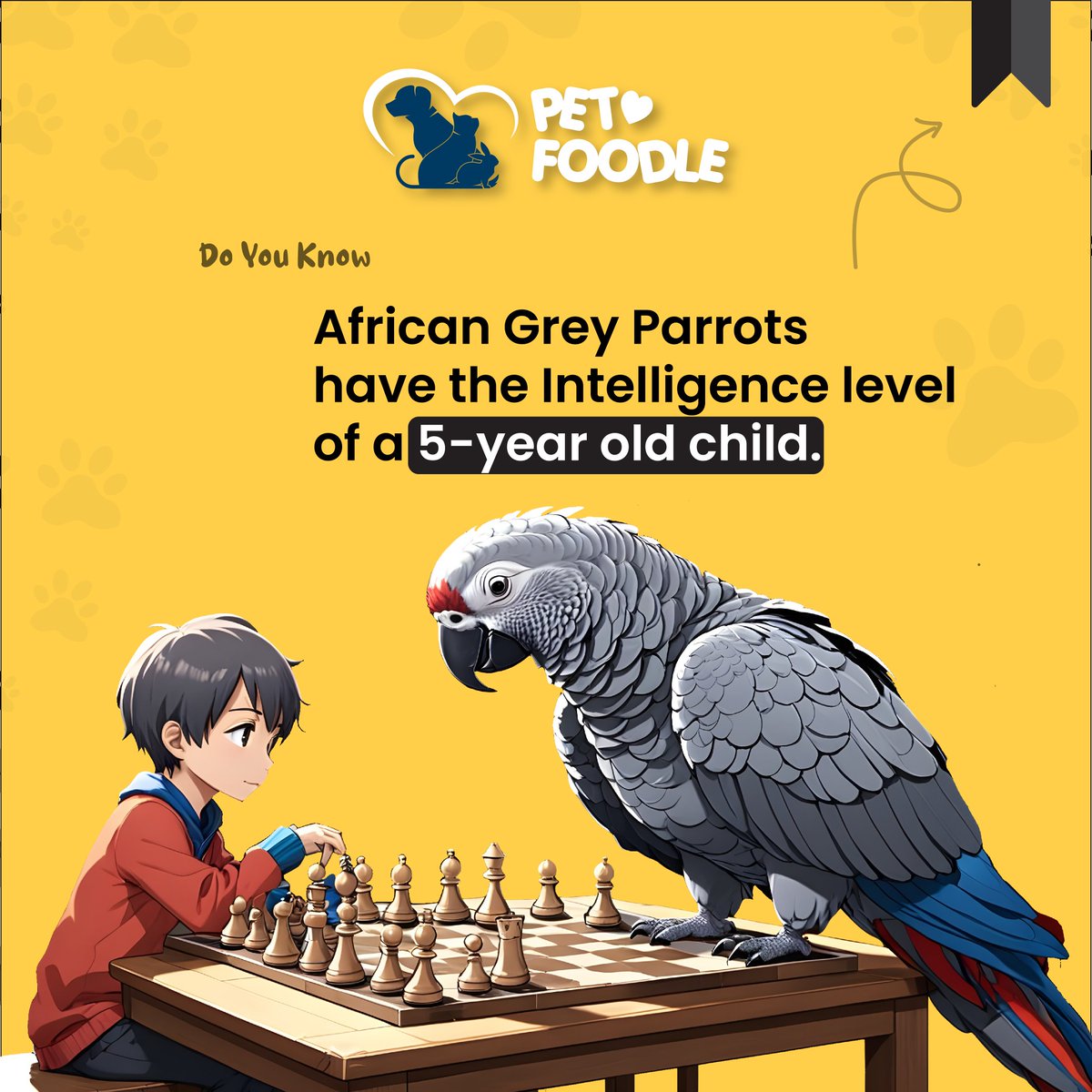 #petfoodle #petservices #petbusiness #petcare #petlovers #greyparrot #africangreyparrot #doyouknow #knowmore