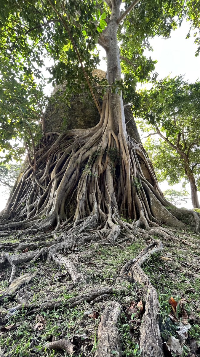 Buccoo historical park and nature center Tobago 🇹🇹