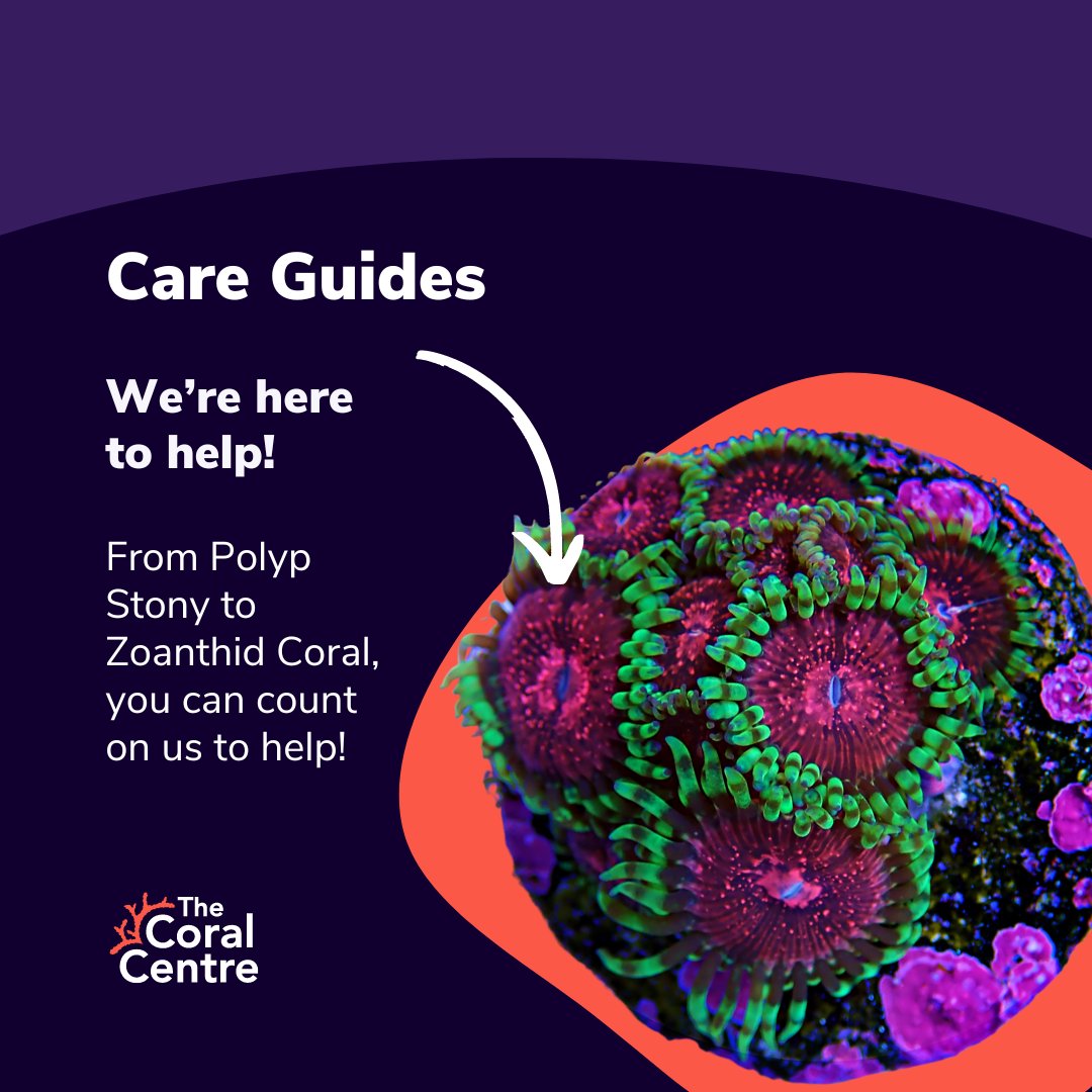 We understand that our customers want to get the most out of their corals, so we have created some easy-to-follow guides that help you do just that! Visit bit.ly/3TtYPcQ to access the care guides we have to offer.