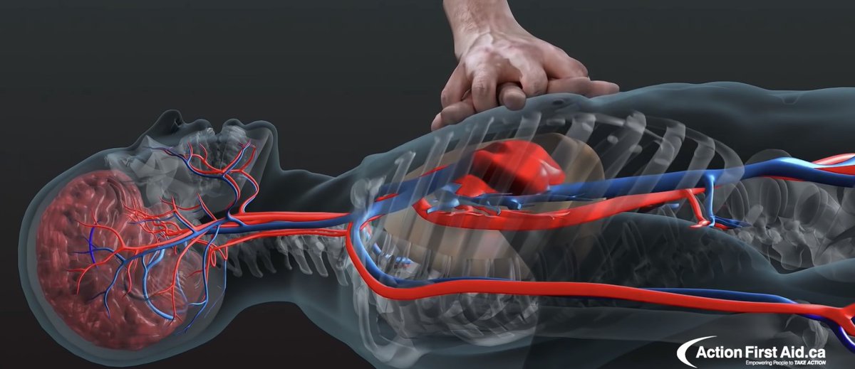 Jo Bailey tweet media