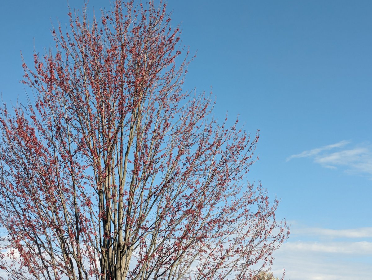 Beautiful clear skies in Ohio
