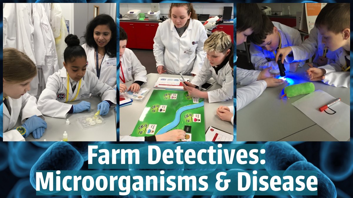 ❓Looking for a P6 or P7 science trip this term? 👀Check out our Farm Detectives: Microorganisms & Disease workshops 7-22 May 🐮🦠🔬🧫🥼 ➡️edin.ac/2RDUx2G @DYWEdinMidEast @DYWWestLothian @DYWBorders @DYWFife @DYWForthVallet @RaiseScotland @Midlothian_STEM
