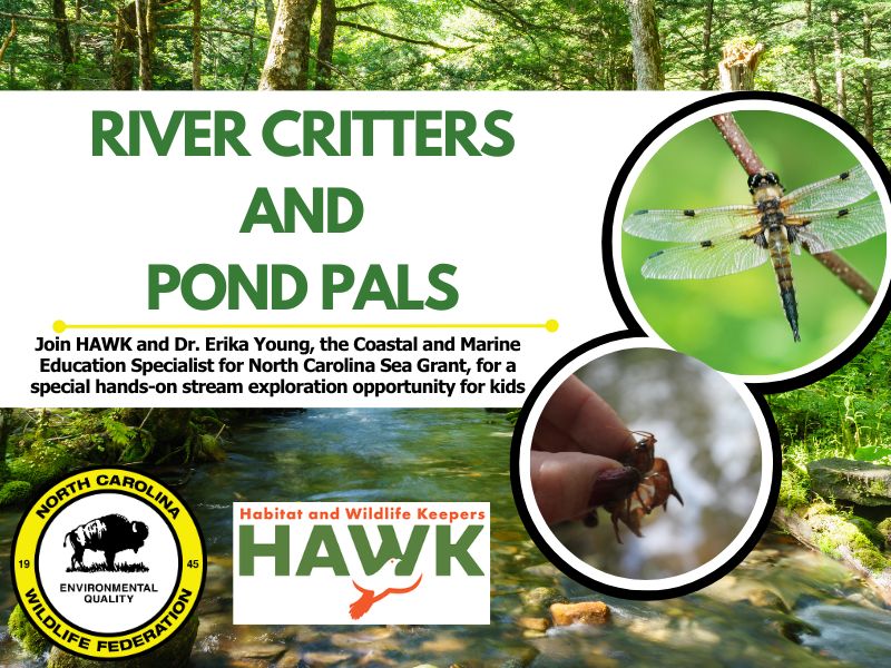 📅 Save the date! Join Dr. Erika Young & Habitat & Wildlife Keepers for a fun stream exploration for kids, followed by pizza! 🍕 Discover specimens, ID species, and play a matching game! Limited spots, register now for this unique experience at Matthews Community Center on 6/11