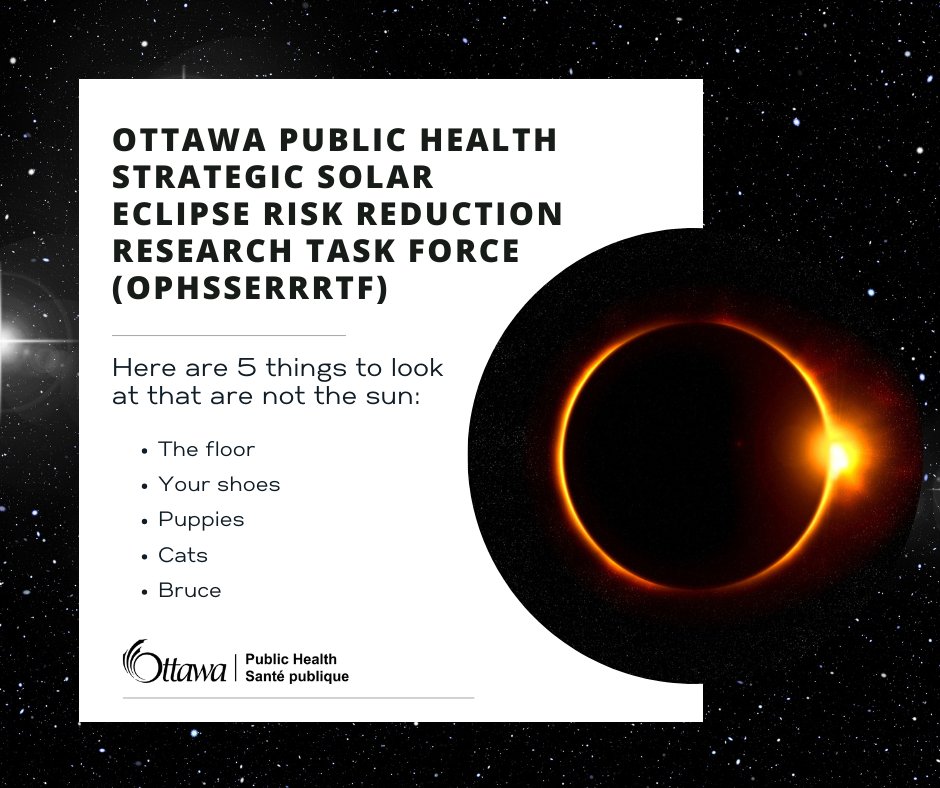 The Ottawa Public Health Strategic Solar Eclipse Risk Reduction Research Task Force (or OPHSSERRRTF for short) has conducted exhaustive research into helping you avoid looking at the sun today. The result is this comprehensive list of things to look at which are not the sun.
