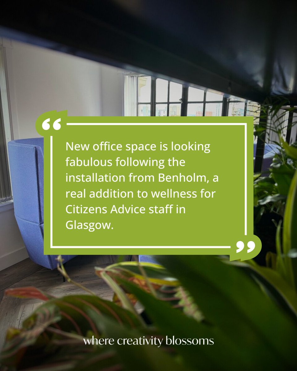 This morning we received a lovely 5-star review from George at Citizens Advice Scotland on Trustpilot ⭐

If you've ever benefitted from our services, we'd love to hear from you! 

Leave a review here: uk.trustpilot.com/review/benholm…

#officedesign #workplacedesign #biophilicdesign