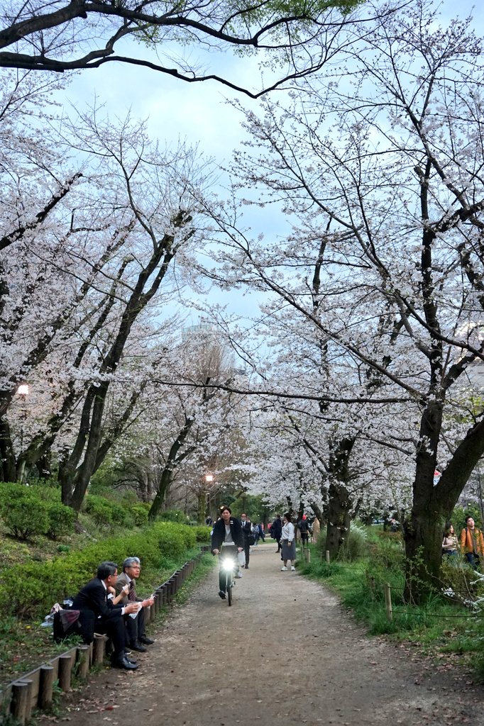 Kayla Dadgar MD tweet media