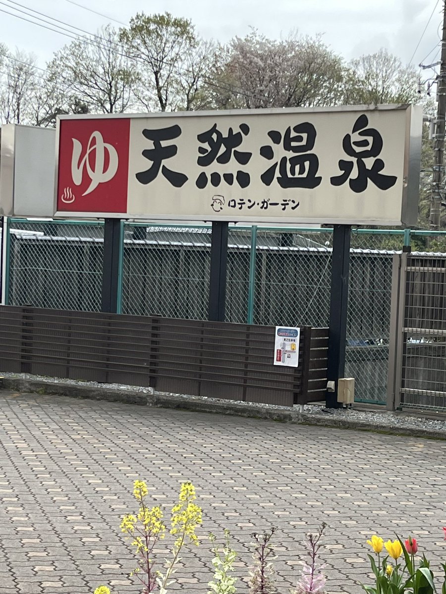 ashiyubito's tweet photo. 今日は町田の天然温泉ロテン・ガーデンに行って来ました。
https://t.co/DGmVCoIS2R
琥珀色の弱アルカリ性ナトリウム塩化物・炭酸水素塩温泉♨️は、源泉掛け流しの天然温泉♨️やはり露天風呂が素晴らしく、温泉に入りながら野外TVを鑑賞できます。マンガ本が一万冊はすごい😍
#天然温泉　#ロテンガーデン https://t.co/ihh0fXR4r9
