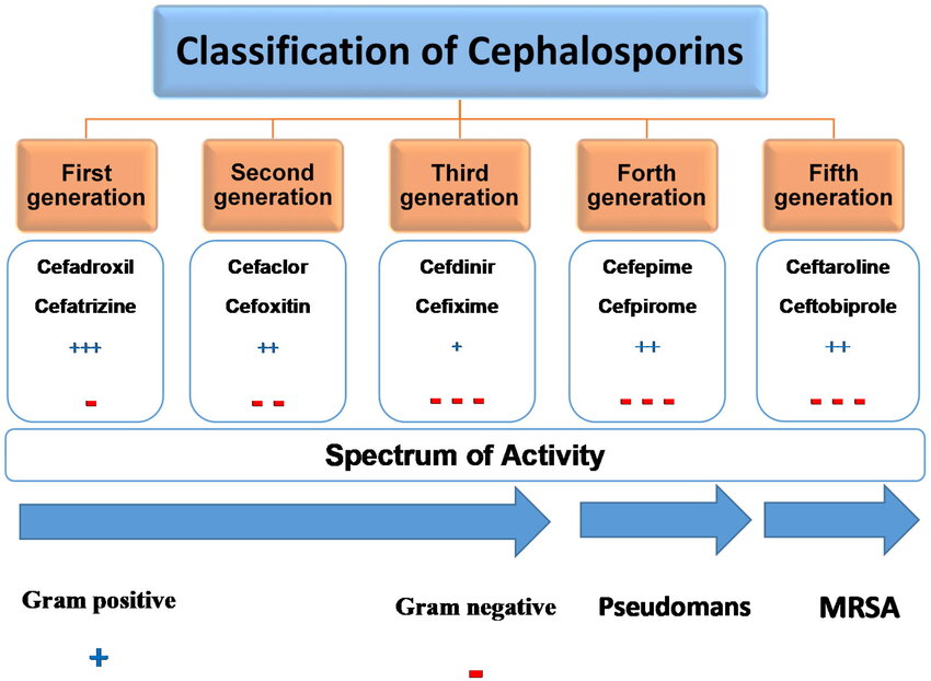 💊 Classification of cephalosporins with spectrum of activity !!

#MedEd #MedX #MedTwitter #IDTwitter #IDpearls #antibiotics #pharmacology #pharmacy #ClinicalPearl